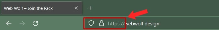 Example of https website lock on a browser.